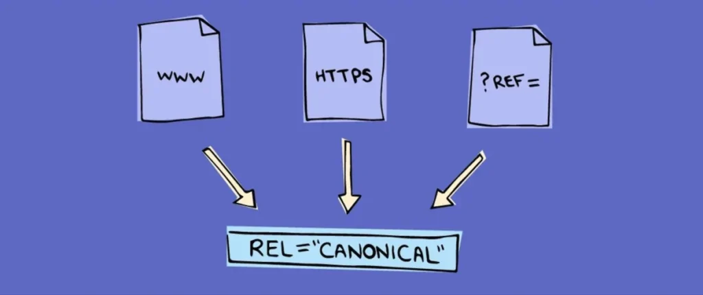 Canonical tags in SEO